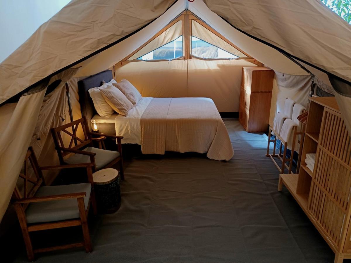 75M2 Indoor Glamping Scheveningen Haia Exterior foto